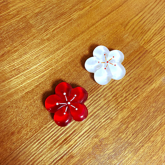 aidoraさんの実例写真