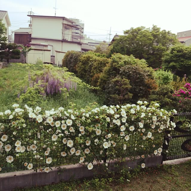 ChocolateNandasさんの実例写真