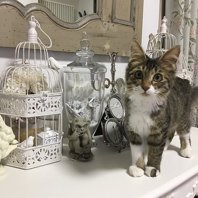 yuchiさんの実例写真