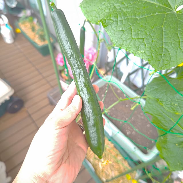 mariaさんの実例写真