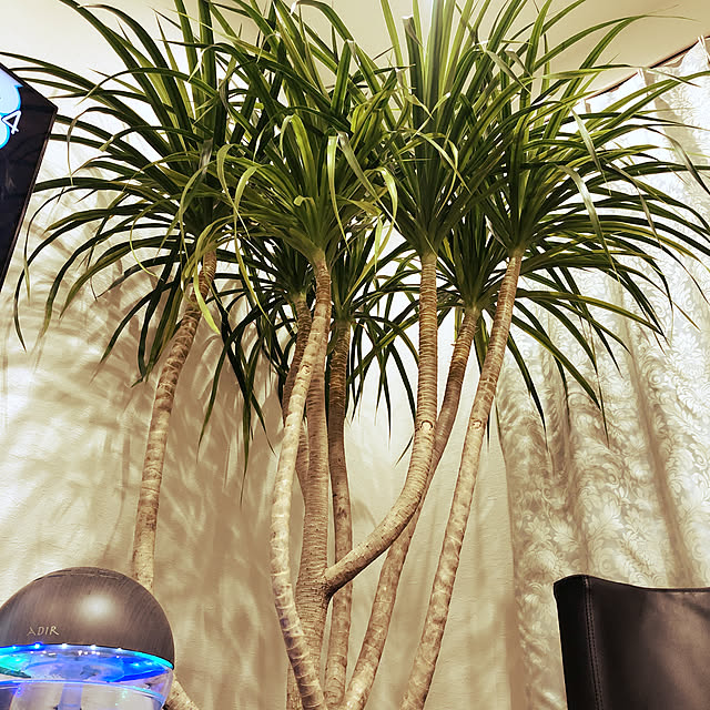 hima_wariさんの実例写真