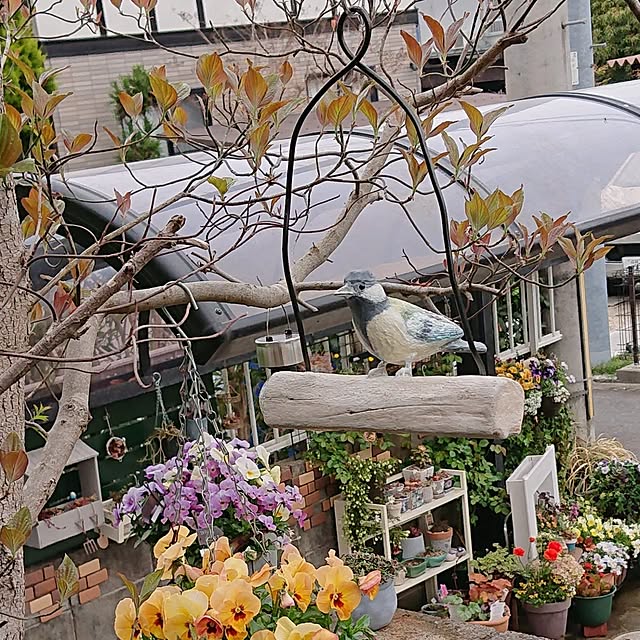 taeko0779さんの実例写真