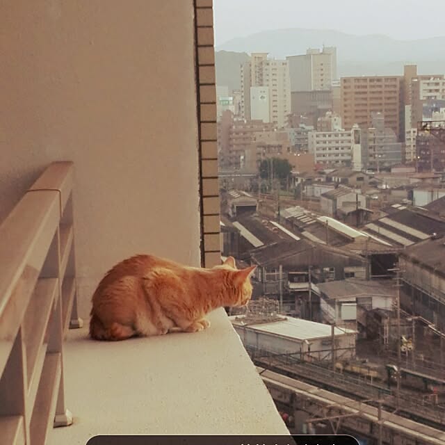 nana.maroさんの実例写真