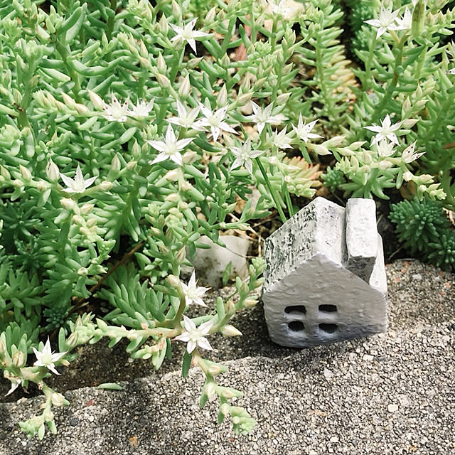 kuikoさんの実例写真