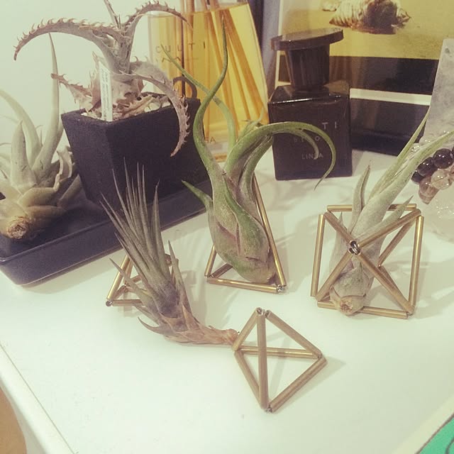壁/天井/観葉植物/ナチュラル/ハンドメイド/一人暮らし...などのインテリア実例 - 2016-04-19 09:00:28