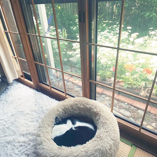 oseroさんの実例写真