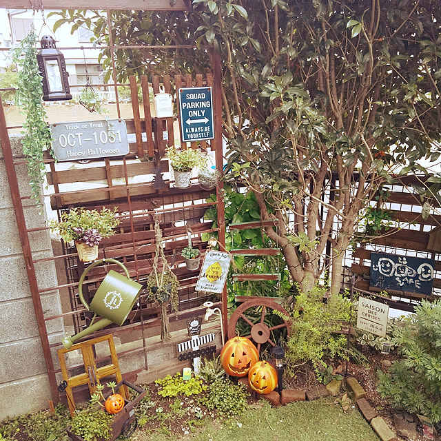 nico77さんの実例写真