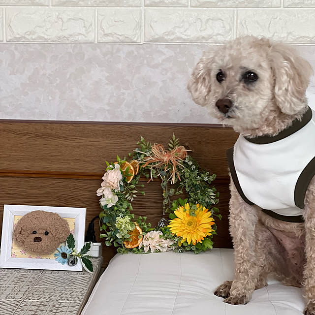 yukarimamaさんの実例写真