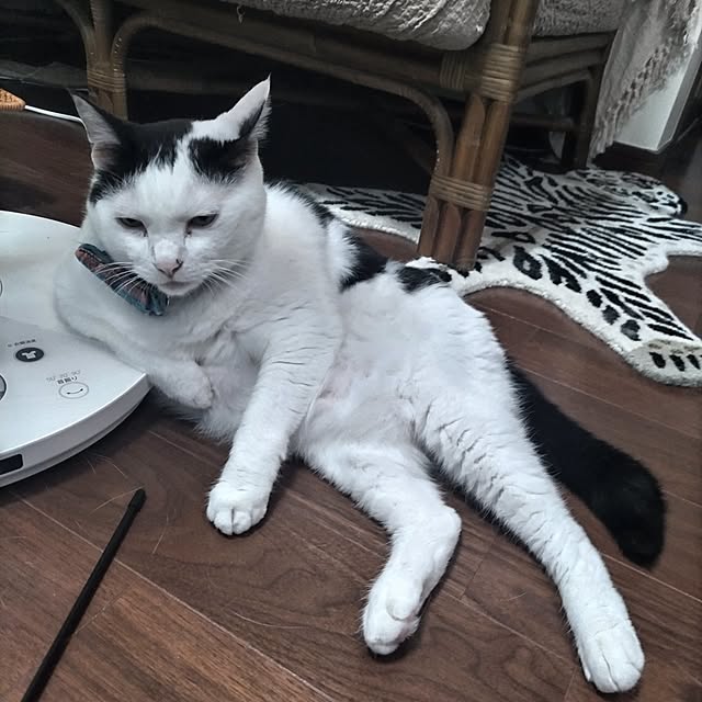yuuさんの実例写真