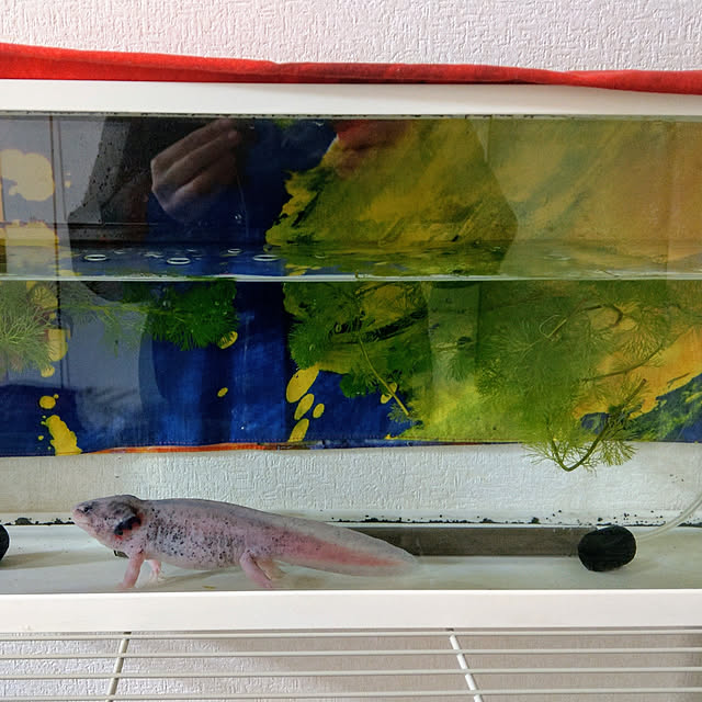 mnmさんの実例写真