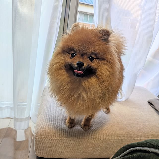 avovo7さんの部屋