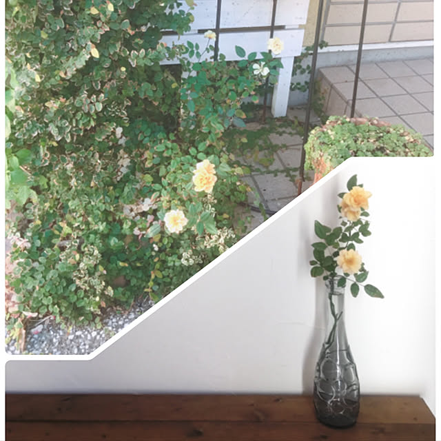 miya.ayaさんの実例写真