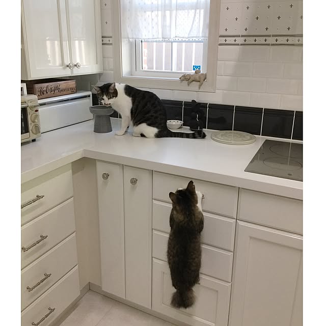 yuchiさんの実例写真