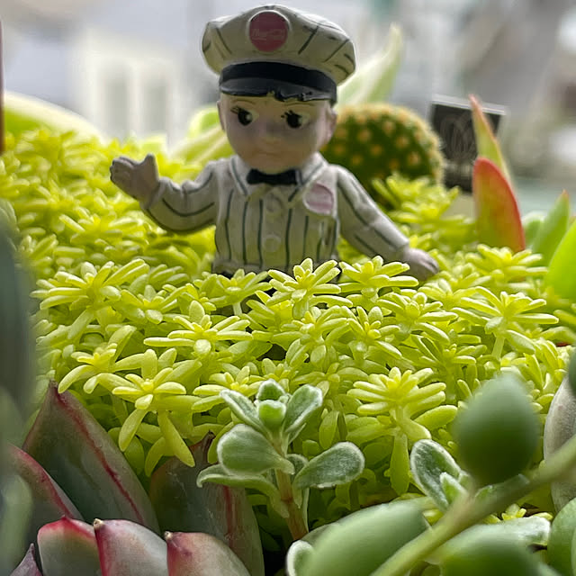 sata9さんの部屋