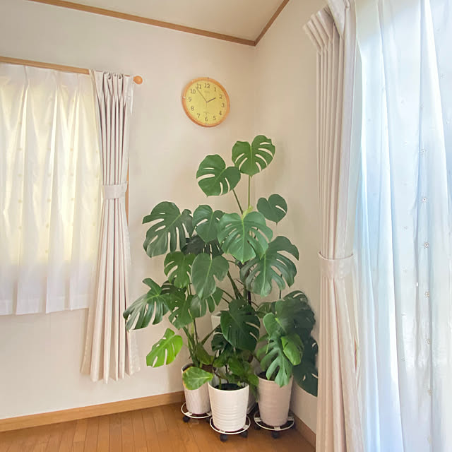 kurokoさんの実例写真