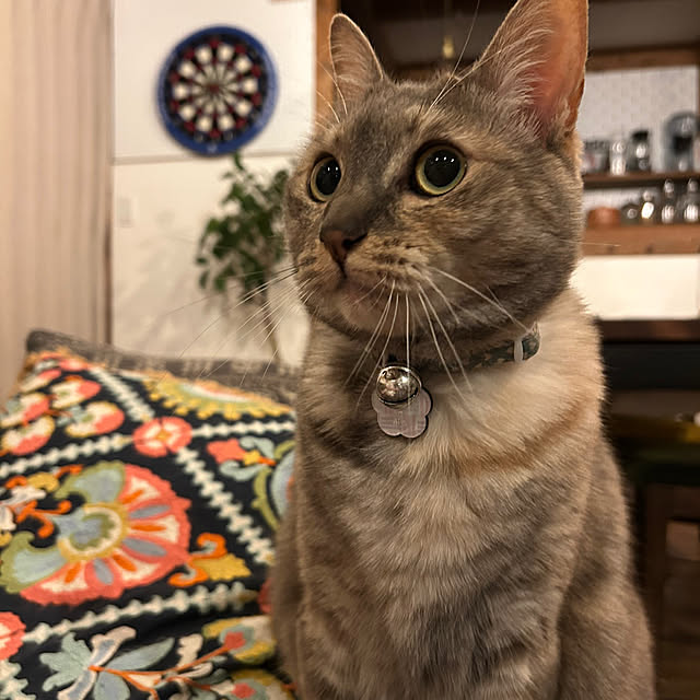 PU930さんの部屋