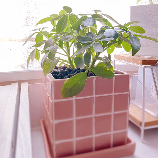 yuukiさんの部屋