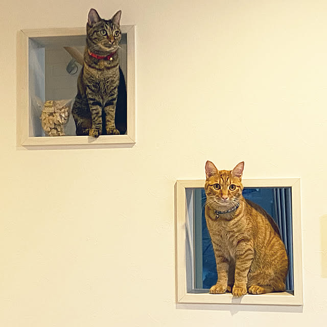 Kumiさんの実例写真