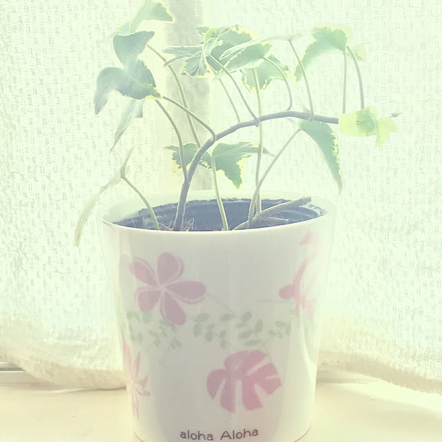 mykt-.-14mmさんの実例写真