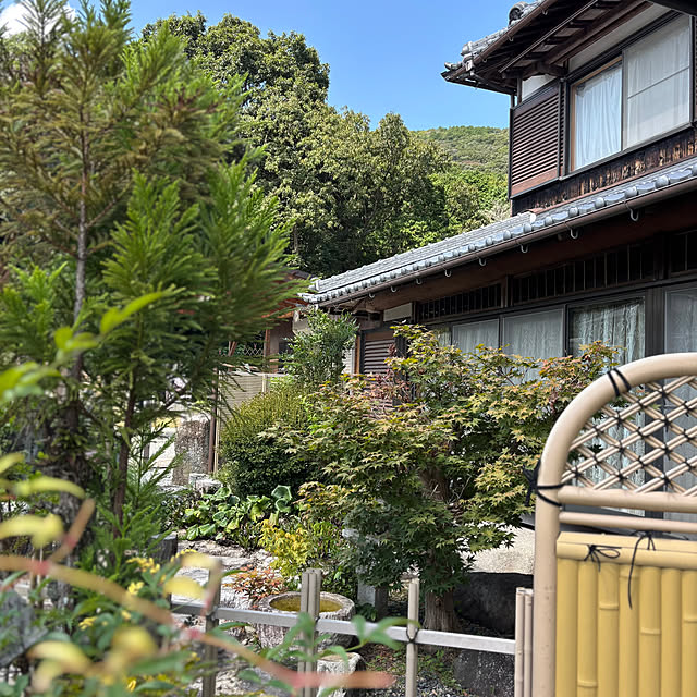 mmさんの部屋