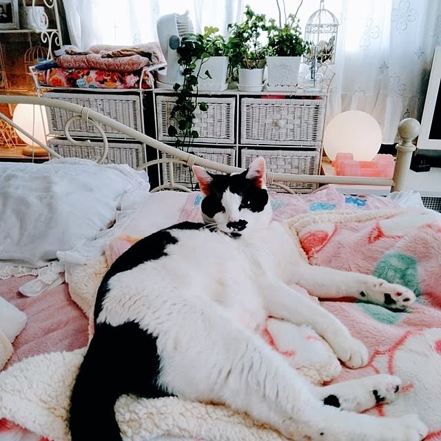 asuminさんの実例写真