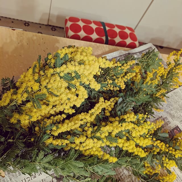 prepreさんの実例写真