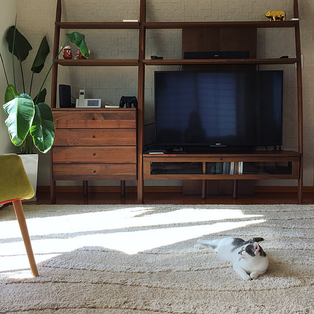Atsukoさんの実例写真