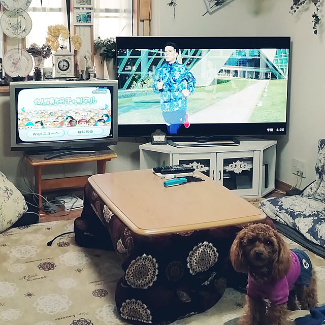satochiさんの実例写真