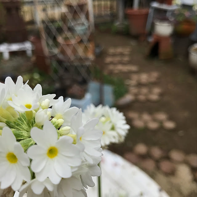 kokko3さんの実例写真