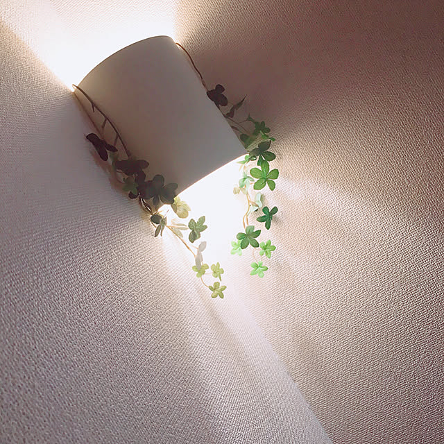 Linaさんの実例写真