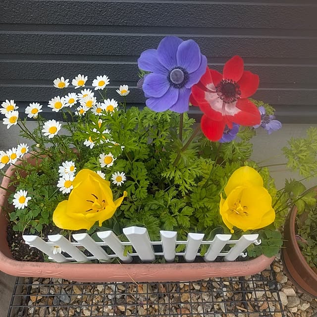 quanshanxia037さんの実例写真