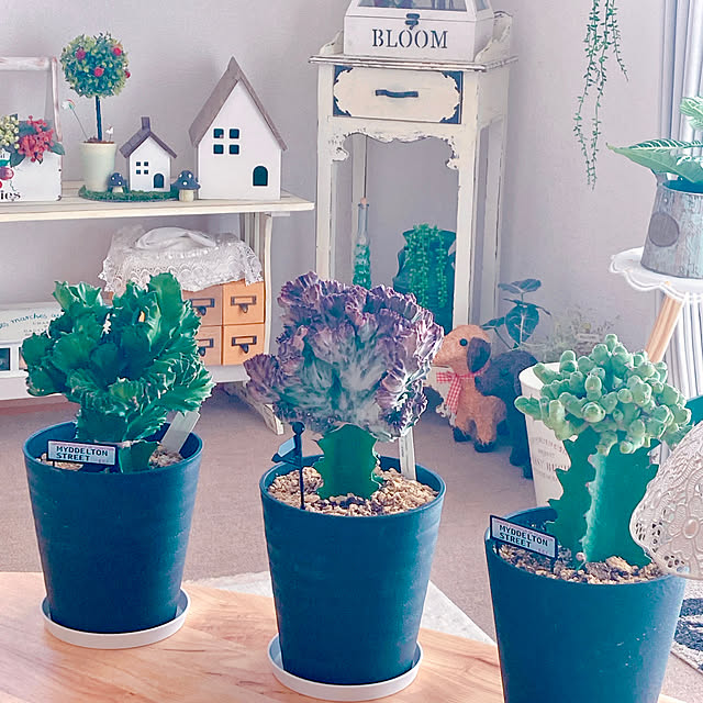 Hanakaさんの部屋