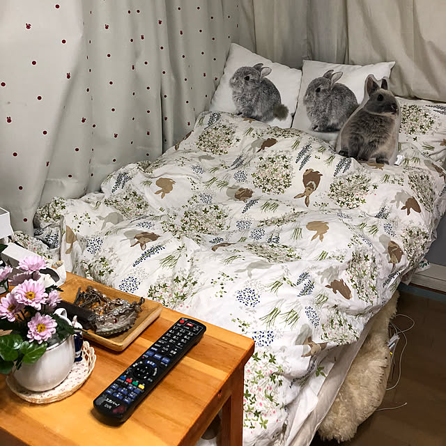 usaさんの実例写真