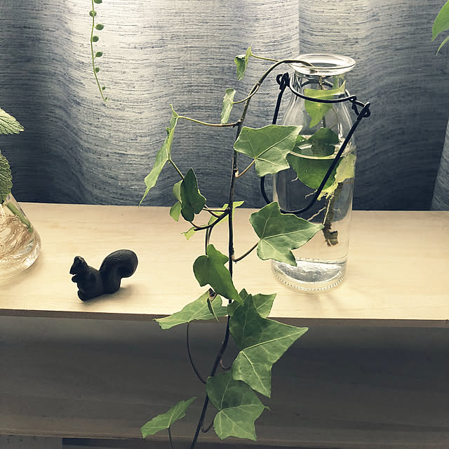 kaorinさんの実例写真