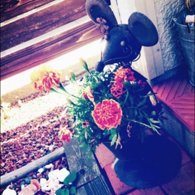 yunaさんの実例写真
