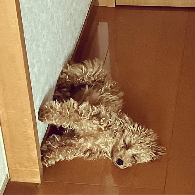 kawauso15さんの部屋