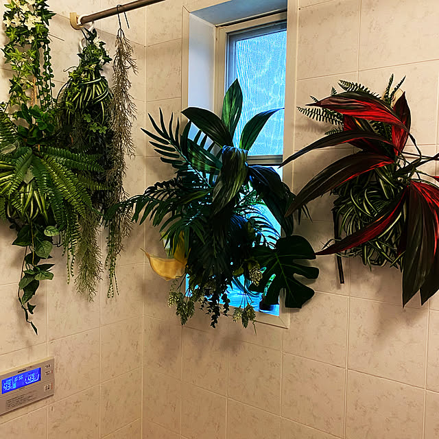 お風呂のグリーン/フェイクグリーン/ジャングル化計画/バス/トイレのインテリア実例 - 2022-04-15 16:57:40