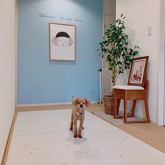 Tarutoさんの実例写真