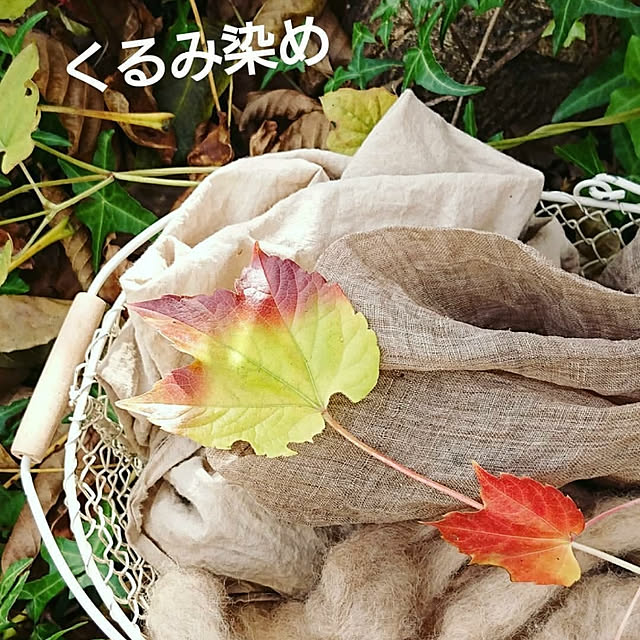 kanokomameさんの実例写真