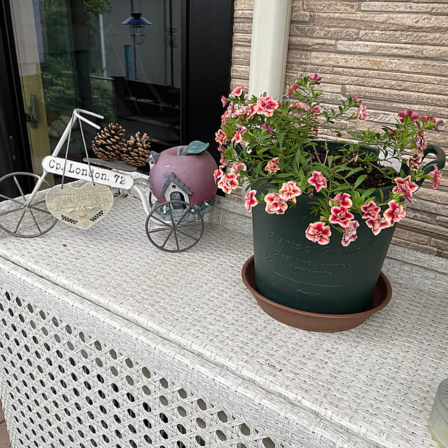 ronronさんの部屋