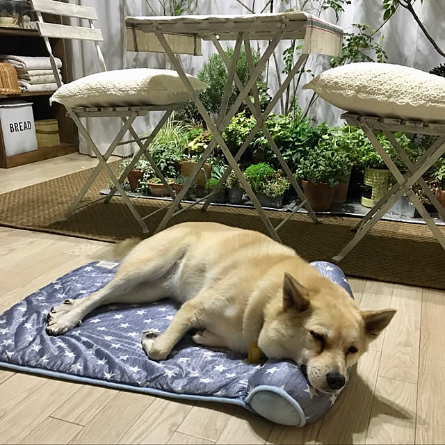 leonaさんの実例写真