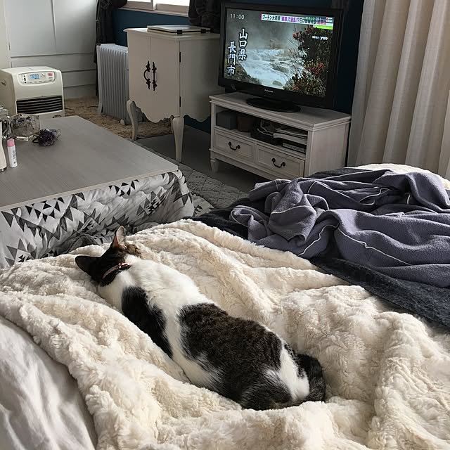 Shihoさんの実例写真