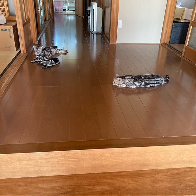 zabonzabonさんの実例写真