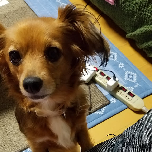 yasuさんの実例写真