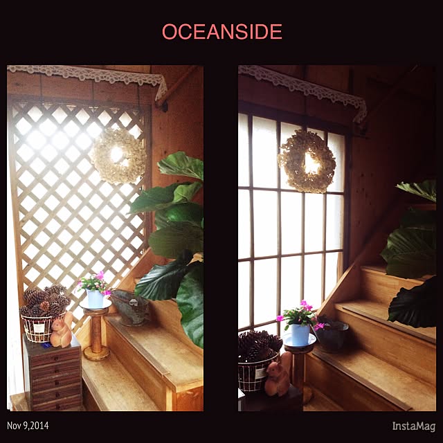 20rose_mamiさんの実例写真