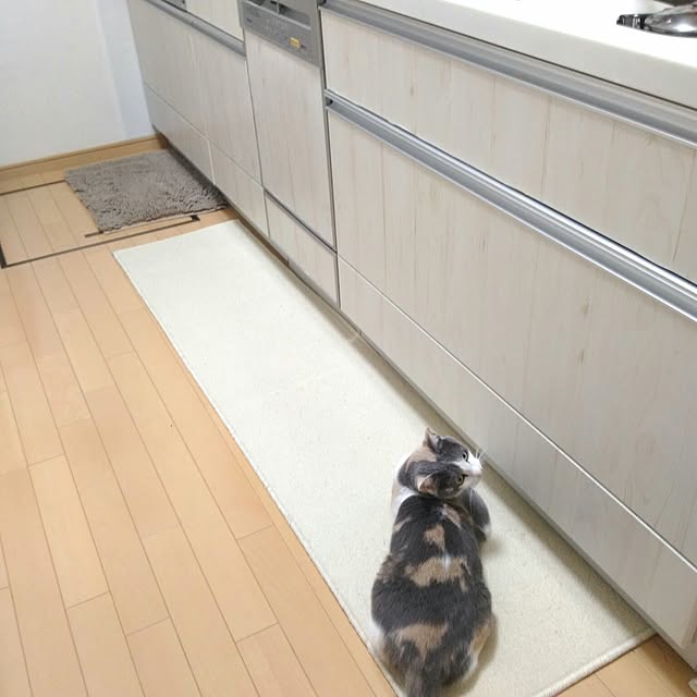 sisimaru1023さんの実例写真