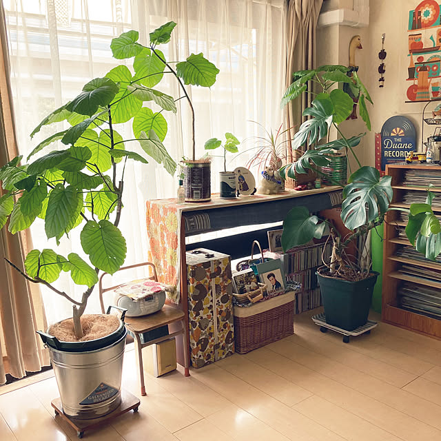 heidiさんの部屋