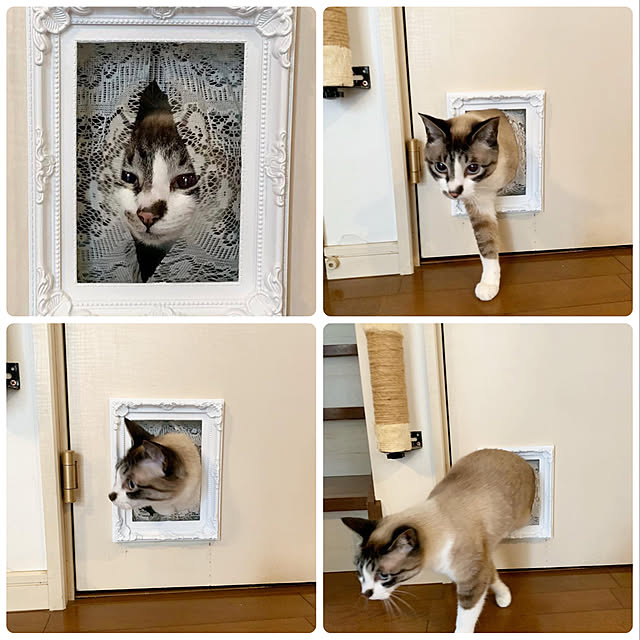 bowbowcoさんの実例写真