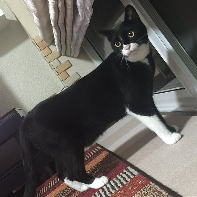mtkさんの実例写真