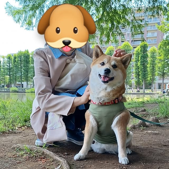 nanaさんの部屋